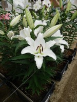 [5614 VH44 No01.JPG]